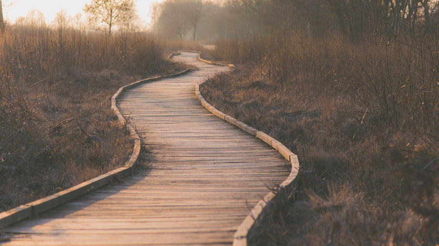 Define’s Guide To Umbrella Goal Planning