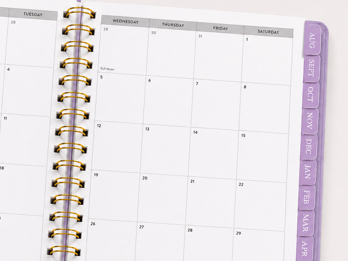 Dated Monthly Tabs