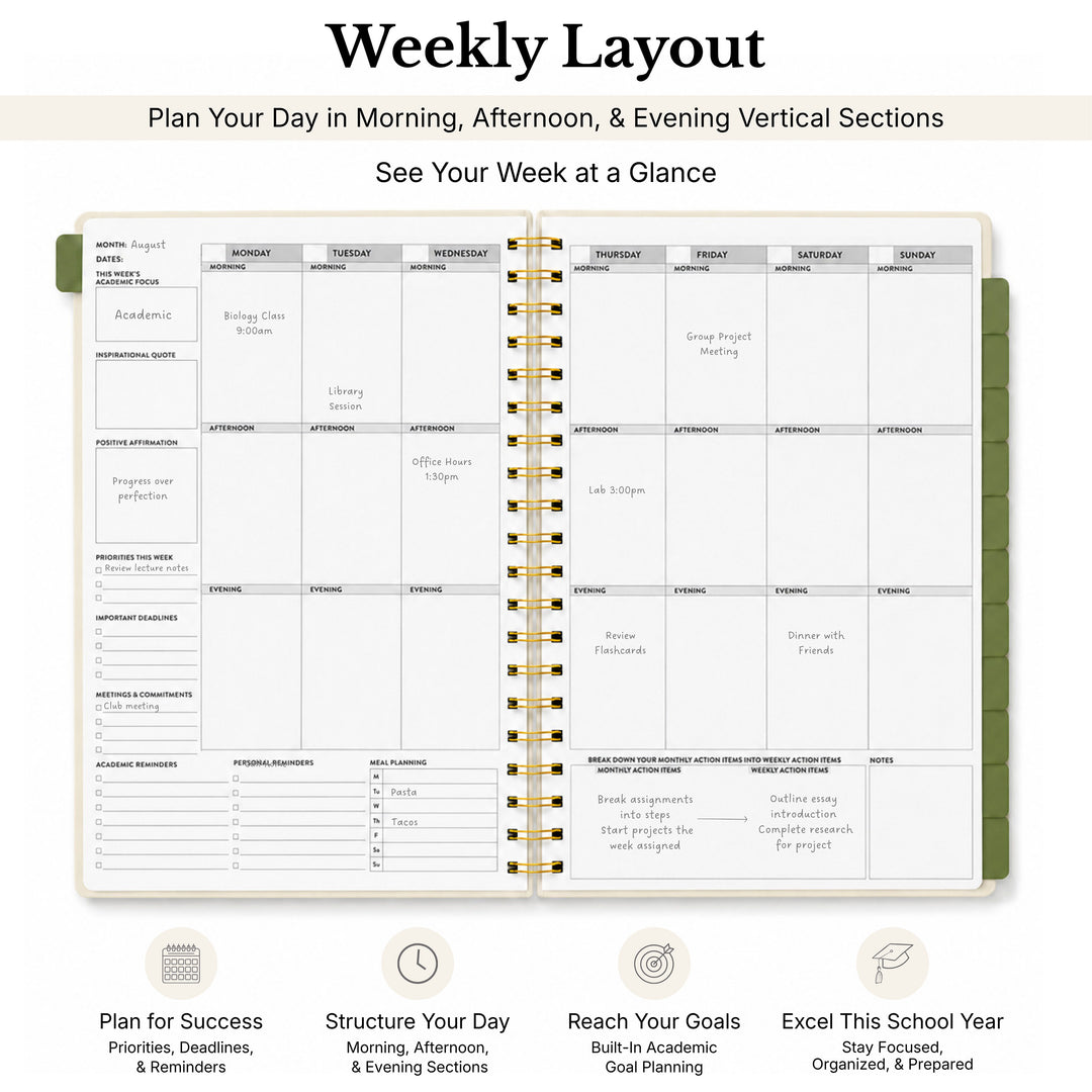 Weekly layout planner with vertical sections for morning, afternoon, and evening, and a green border. 