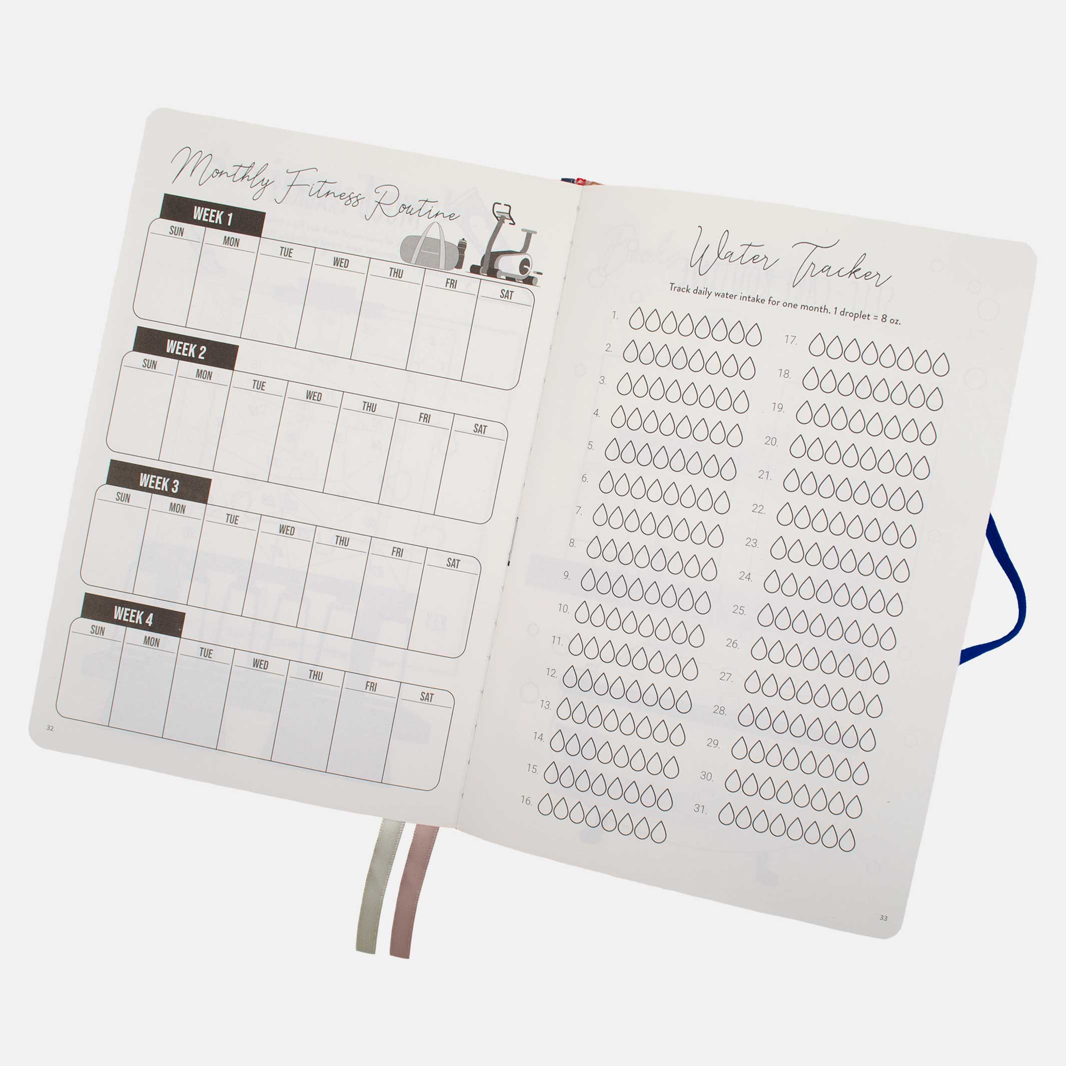 monthly fitness routine and hydration tracker in the 12 month undated planner.